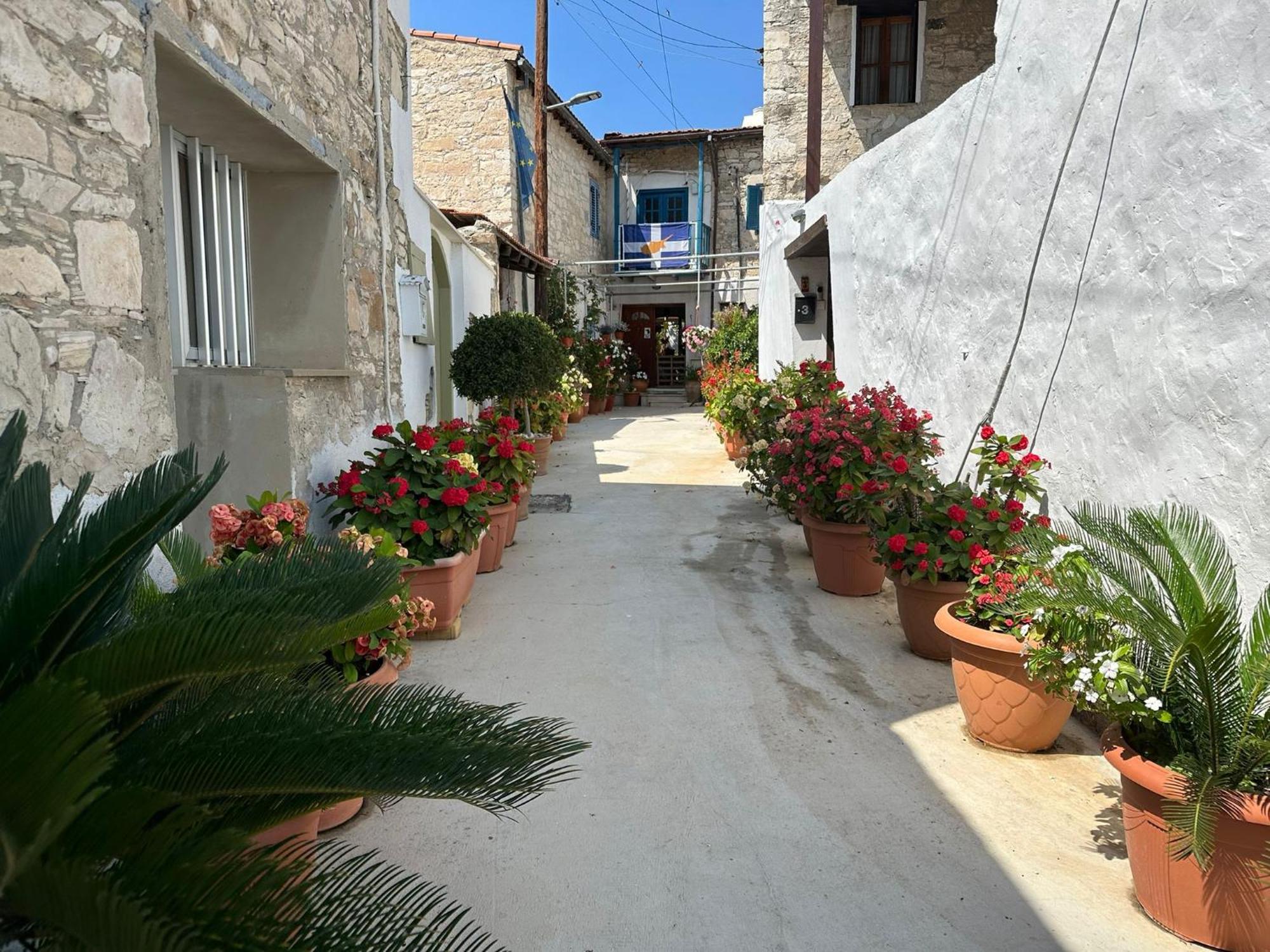 Endless Sunset Villa Pentakomo Exterior foto